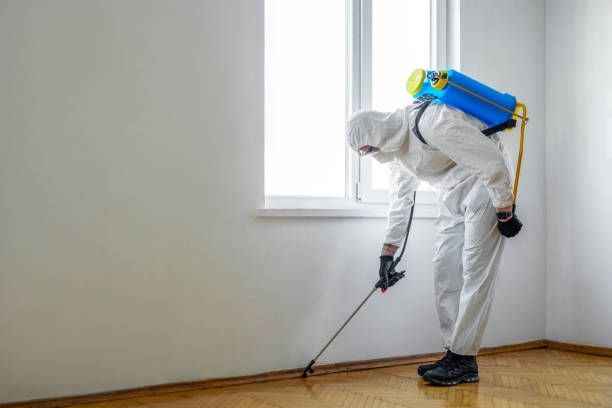 Best Best Pest Control Companies  in Spanish Fork, UT